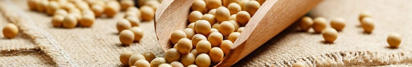 Texturas de soja e vegetais processados | A Janela Natural