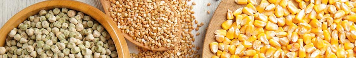 Cereais, massas e sementes naturais | A Janela Natural